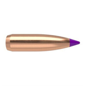 NOSLER 6MM BALLISTIC TIP 80GR (100)