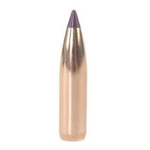 NOSLER 6MM BALLISTIC TIP 95GR (50)