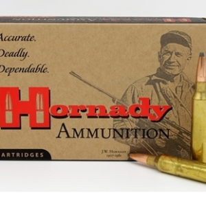 HORNADY AMMO 308WIN 180GR SP INTL (20)