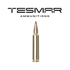 TESMAR AMMO GAME DAY .22-250REM 55GR V-MAX (20)