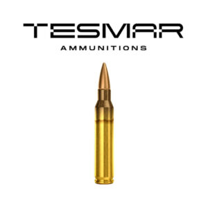 TESMAR AMMO GAME DAY .308WIN 165GR BTSP (20)