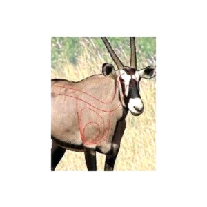 GARIPANI GEMSBOK TEIKEN